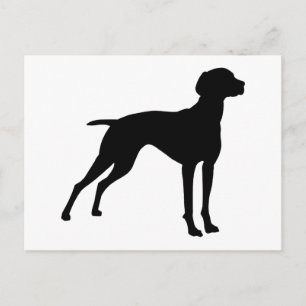 Vizsla Hund Silhouette (svart) Vykort