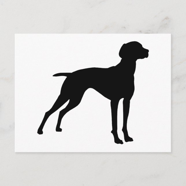 Vizsla Hund Silhouette (svart) Vykort (Framsida)
