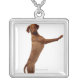 Vizsla hund silverpläterat halsband (Framsidan)