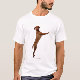 Vizsla hund t-shirt