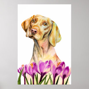 Vizsla Hund Watercolor Painting, Fine Art Poster