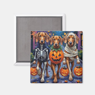 Vizsla hundar som går runt och bugar på Halloween Magnet