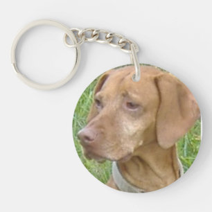 Vizsla hundnyckelring