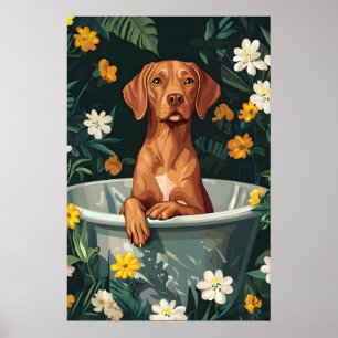 Vizsla i badkar Affisch, Rolig Hund Affisch, Vizsl Poster
