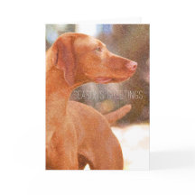 Vizsla Jul Greeting Cards