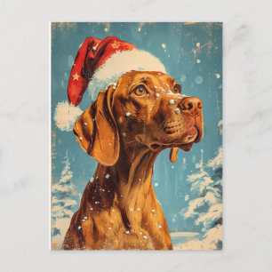 Vizsla jul vykort