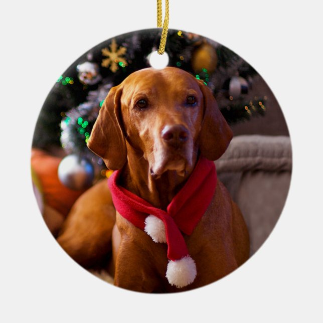 Vizsla julprydnad (Henry) Julgransprydnad Keramik (Framsidan)