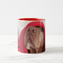 Vizsla kaffemugg