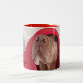 Vizsla kaffemugg
