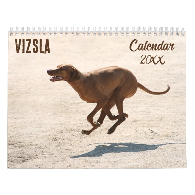 Vizsla-kalender 2026 kalender (Omslag)