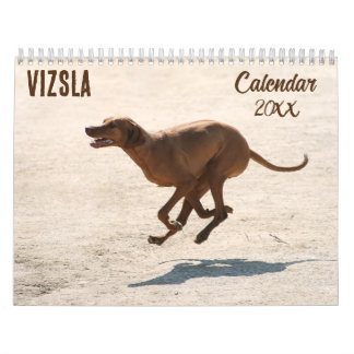Vizsla-kalender 2026 kalender
