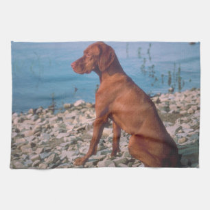 Vizsla kökshandduk