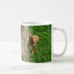 Vizsla kopp