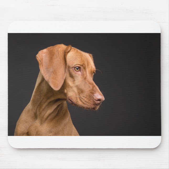 Vizsla Musmatta (Framsidan)