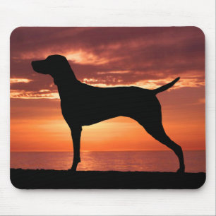 Vizsla Musmatta