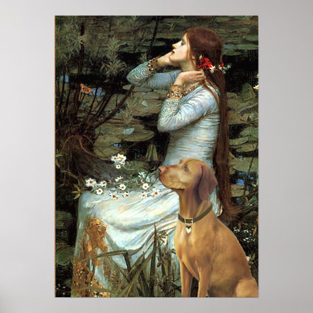 Vizsla - Ophelia sittande Poster (Framsidan)