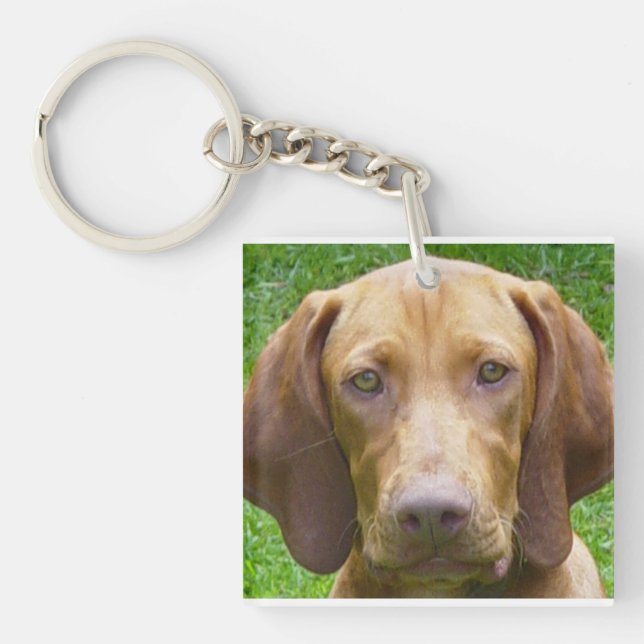 vizsla.png (Framsidan)