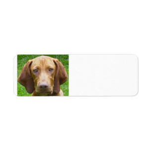 vizsla.png returadress etikett