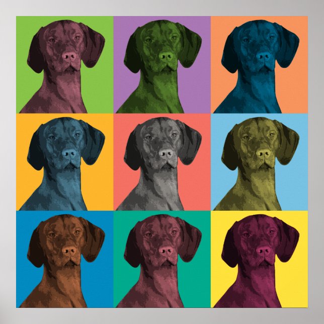 Vizsla Pop-Art Poster (Framsidan)