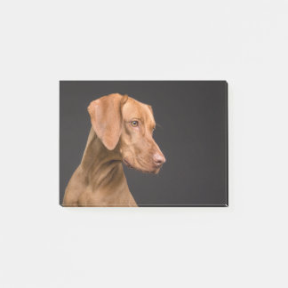 Vizsla Post-it Block
