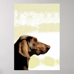 Vizsla Poster