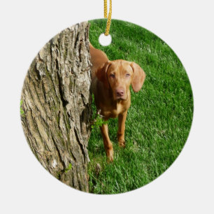 Vizsla prydnad julgransprydnad keramik