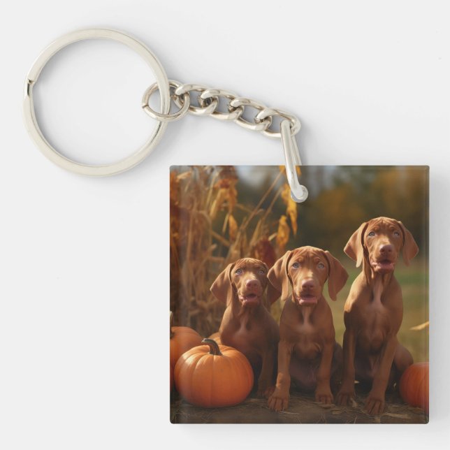 Vizsla Puppy Autumn Delight Pumpkin (Framsidan)