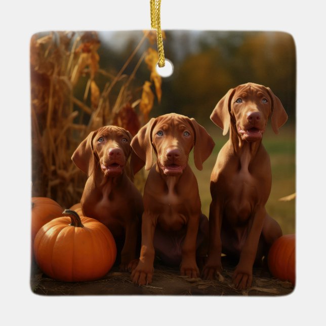 Vizsla Puppy Autumn Delight Pumpkin Julgransprydnad Keramik (Framsida)