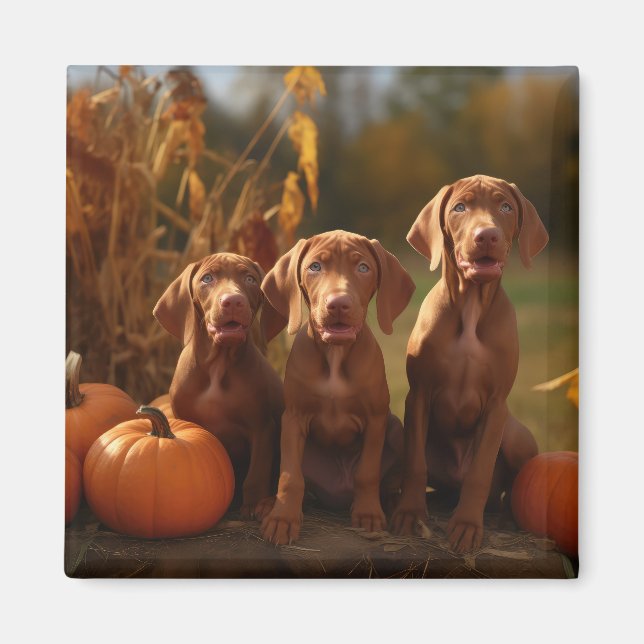 Vizsla Puppy Autumn Delight Pumpkin Magnet (Framsidan)