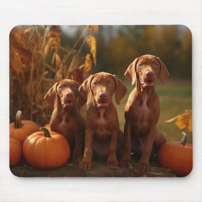 Vizsla Puppy Autumn Delight Pumpkin Musmatta (Framsidan)
