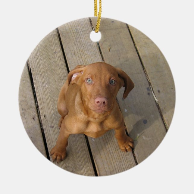 vizsla puppy julgransprydnad keramik (Framsidan)