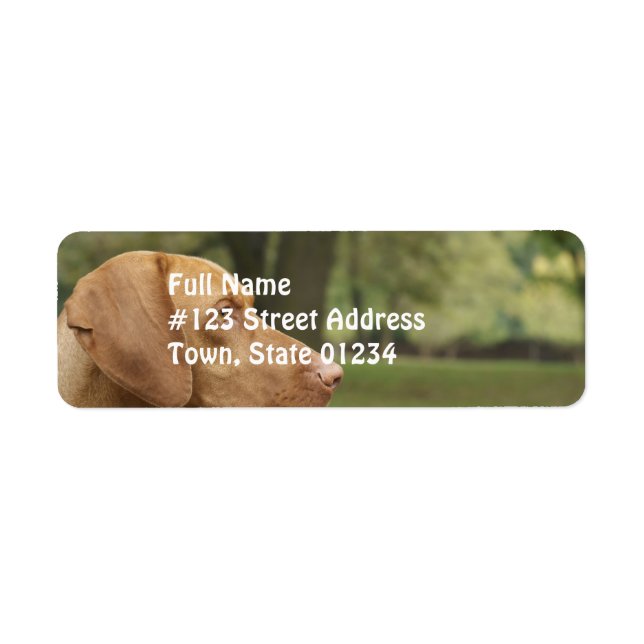 Vizsla Puppy Returadress Etikett (Framsidan)