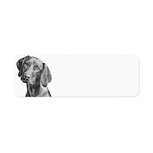 Vizsla Ritning Returadress Etikett (Framsidan)