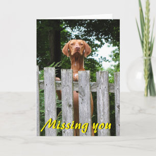 Vizsla "saknad som du" card kort