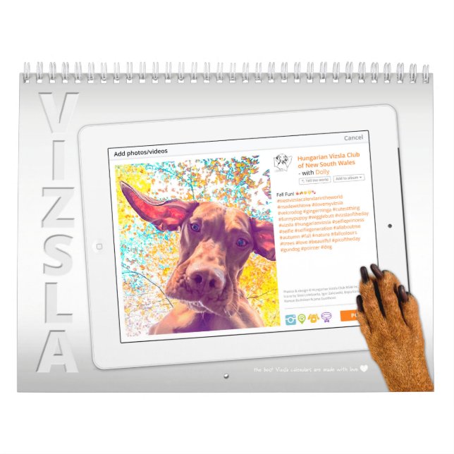Vizsla Selfie kalender (Omslag)