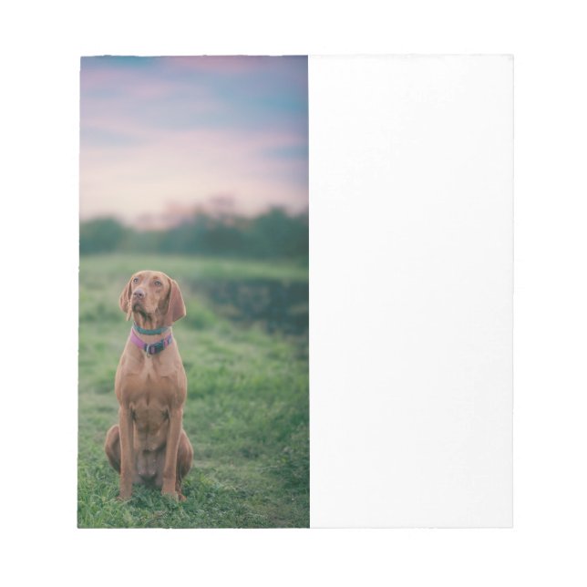 vizsla sittande anteckningsblock (Framsida)
