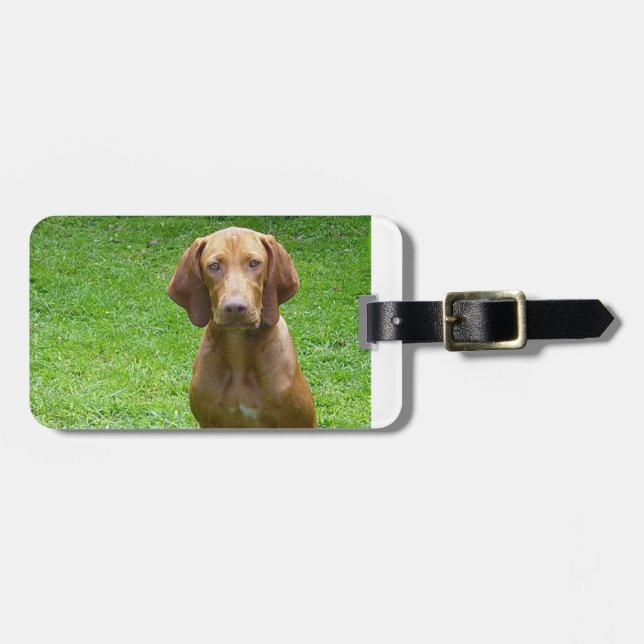 vizsla sitting.png bagagebricka (Horisontell Framsida)