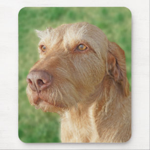 Vizsla Skapar din egen Anpassningsbar Pet Photo Mo Musmatta