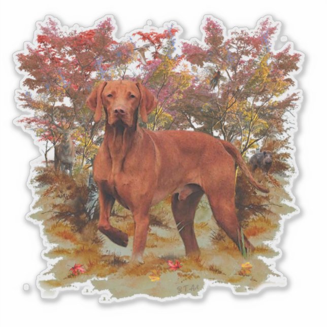 Vizsla Sticker Klistermärken (Framsida)