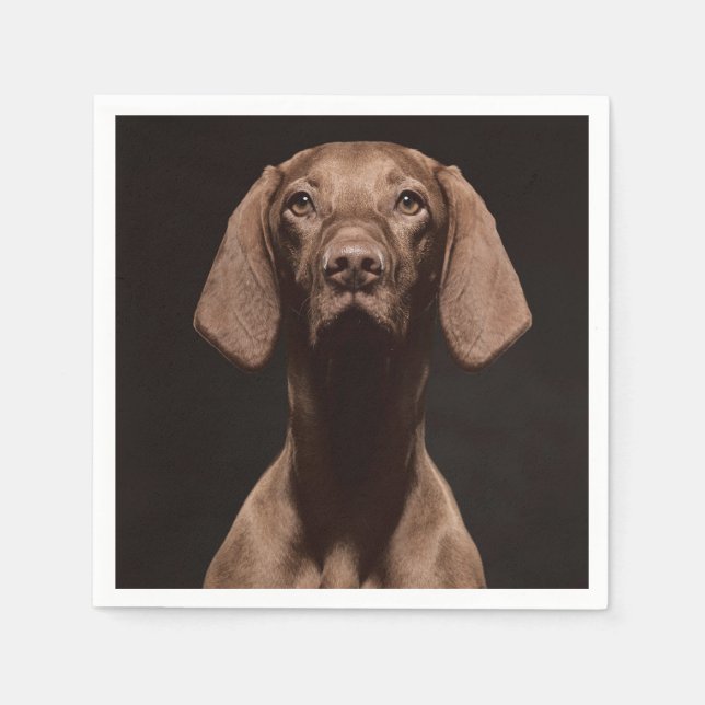 Vizsla Tredje Pappersservett (Framsidan)