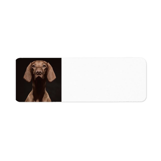 Vizsla Tredje Returadress Etikett (Framsidan)