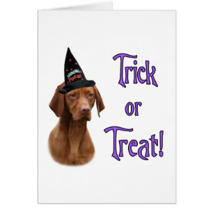 Vizsla Trick Hälsningskort