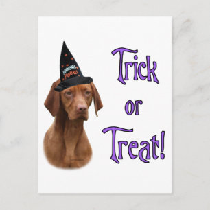 Vizsla Trick Vykort