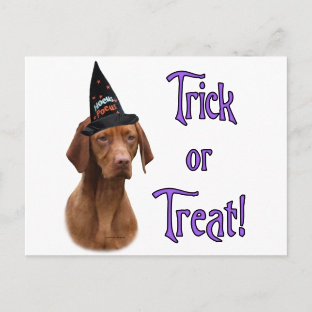 Vizsla Trick Vykort (Framsida)