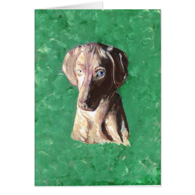 Vizsla, Ungersk pekare Hälsningskort (Framsidan)