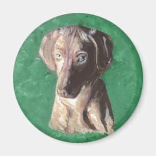 Vizsla ungersk pekare magnet