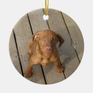 vizsla valp julgransprydnad keramik