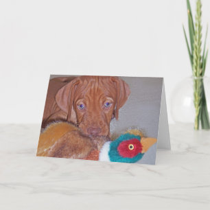 Vizsla valp med Pheasanthälsningkortet (fotoet) Kort