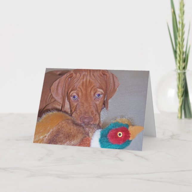 Vizsla valp med Pheasanthälsningkortet (fotoet) Kort (Framsida)