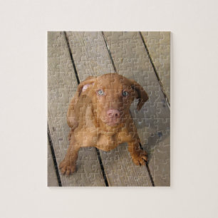 vizsla-valp pussel